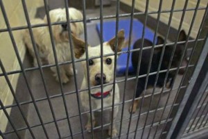 10968310_10205930124233146_8858594101071798710_n